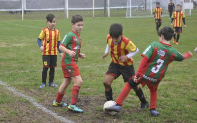 Volvieron los chicos